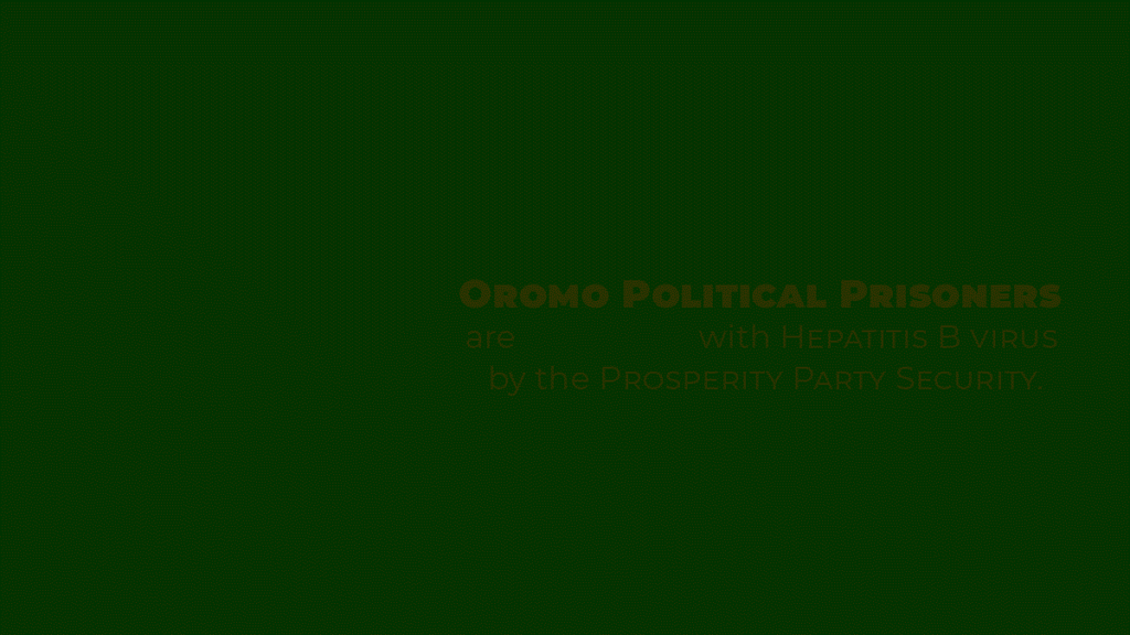 OromoPoliticalPrisonersHepV